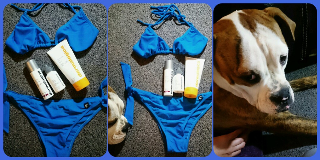 Impressionen Making-Of: Meine 8-Monate alte Hündin Lotti würde ja so gerne mit dem Bikini spielen! ;-)